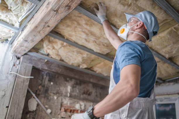 Best Residential Insulation Services  in Toledo, OR