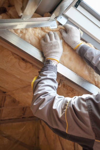 Professional Insulation Contractor in Toledo, OR